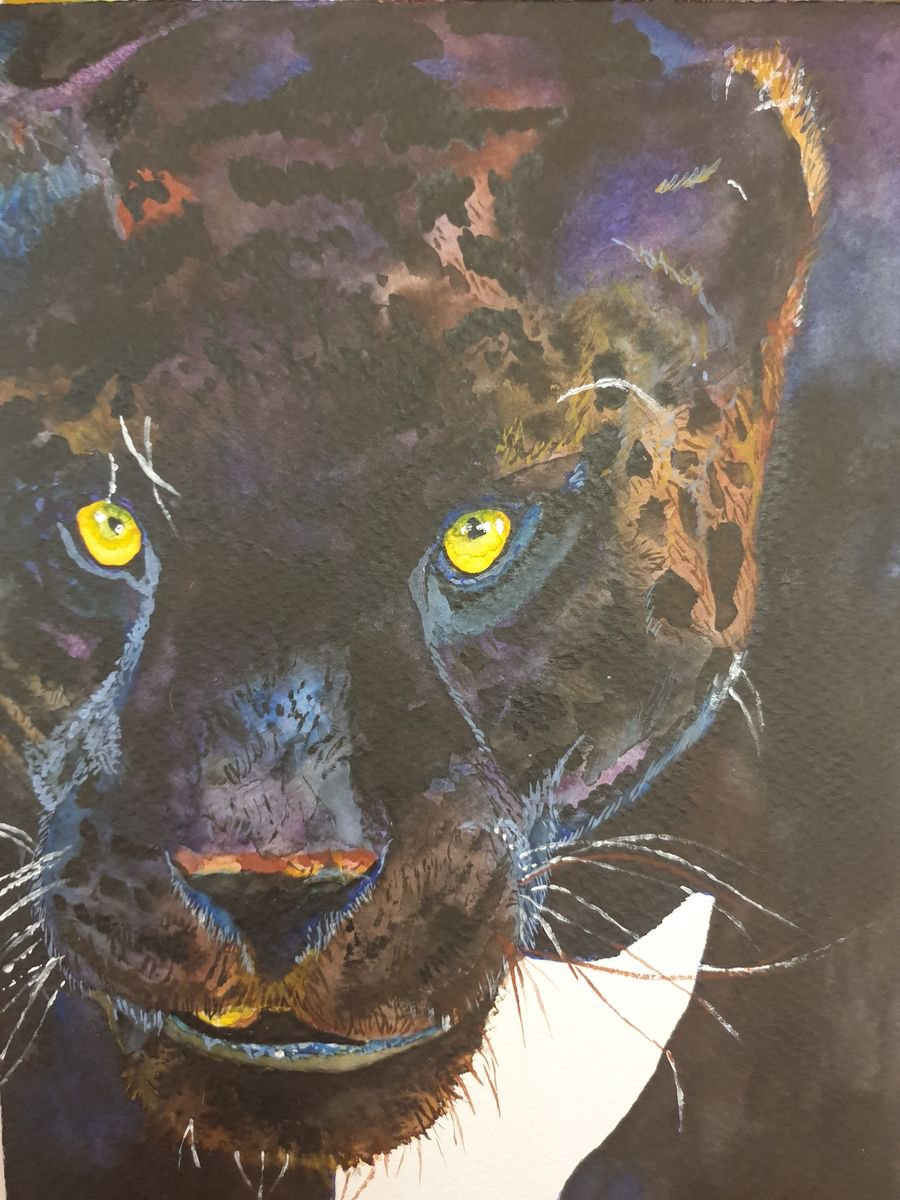 The jaguar by Nicky Campbell