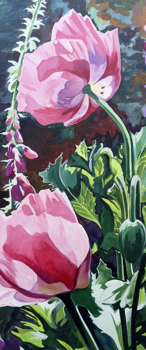 Poppies In The Sunlight by Joseph Lynch
