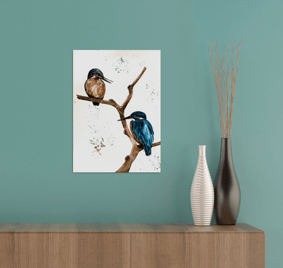A pair of Kingfisher Birds
