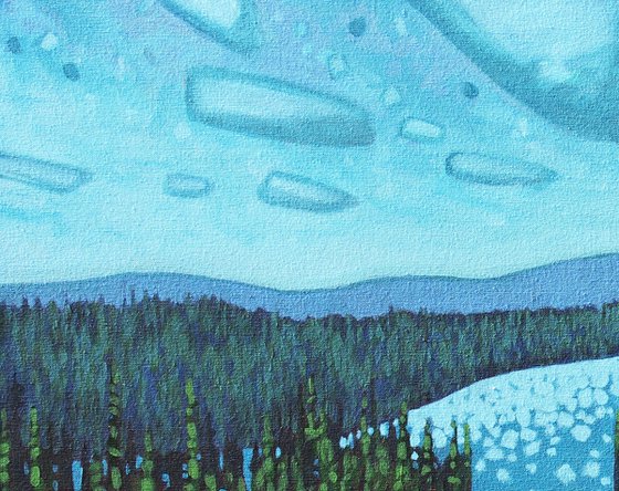 Life in the Boreal