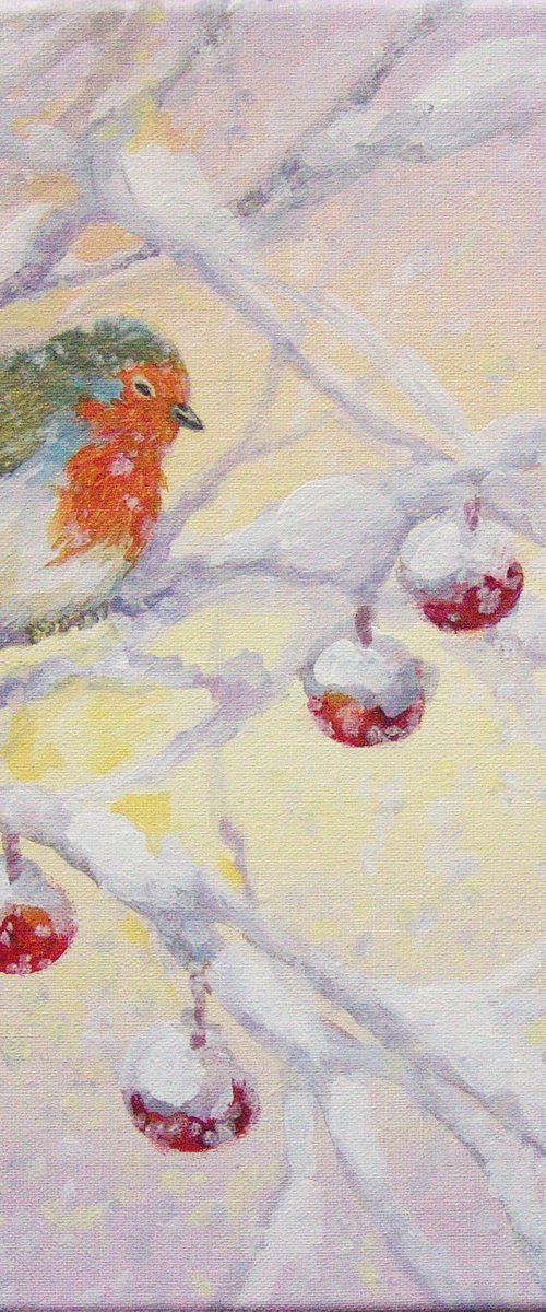 Winter robin by Jolanta Czarnecka