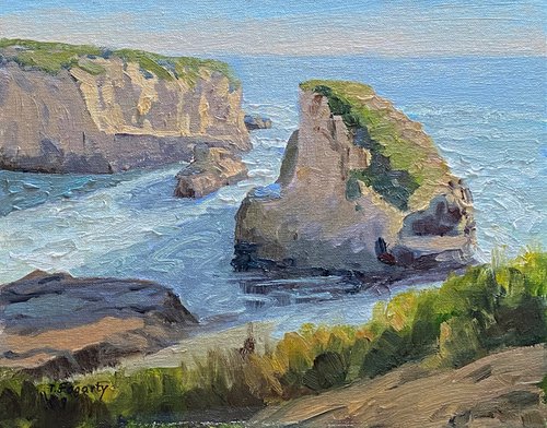 Shark Fin Cove Afternoon by Tatyana Fogarty