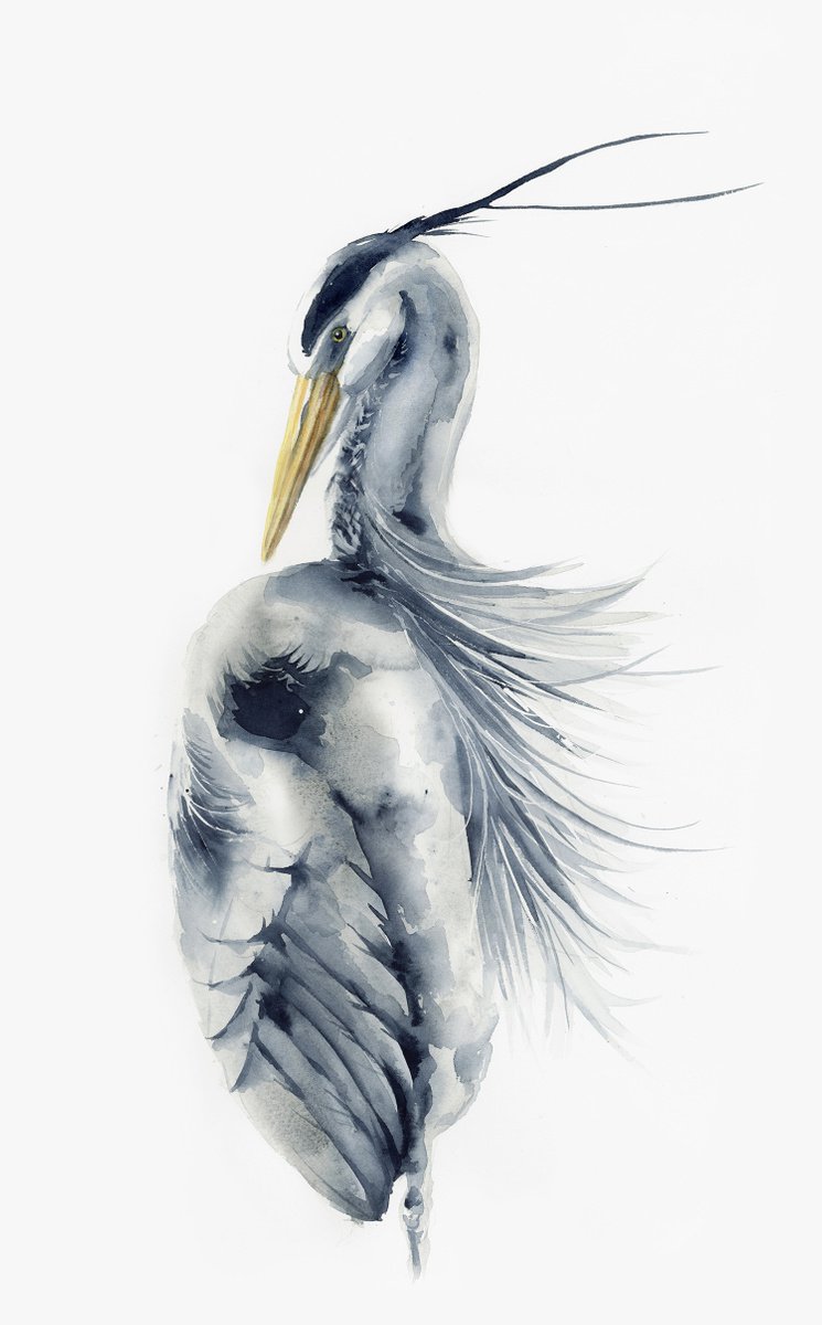 Grey Heron bird by Karolina Kijak