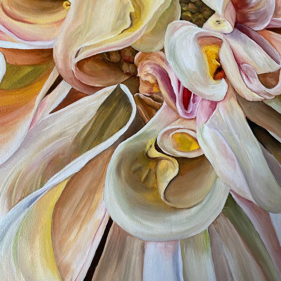 Magic Dahlia Petals