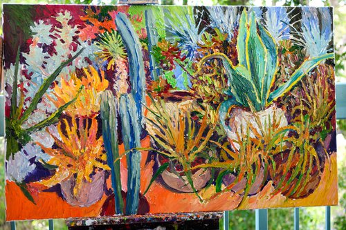 Succulents and Cactuses, Desert Nursery by Suren Nersisyan