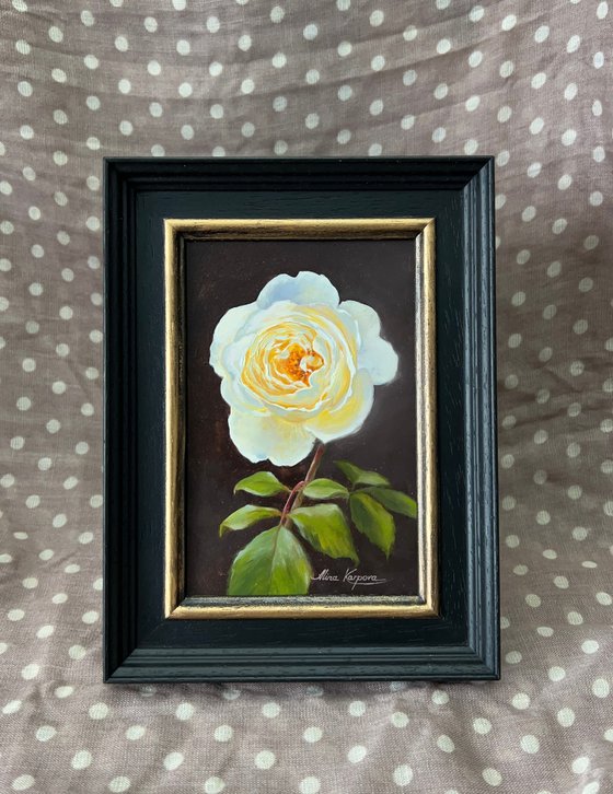 White rose