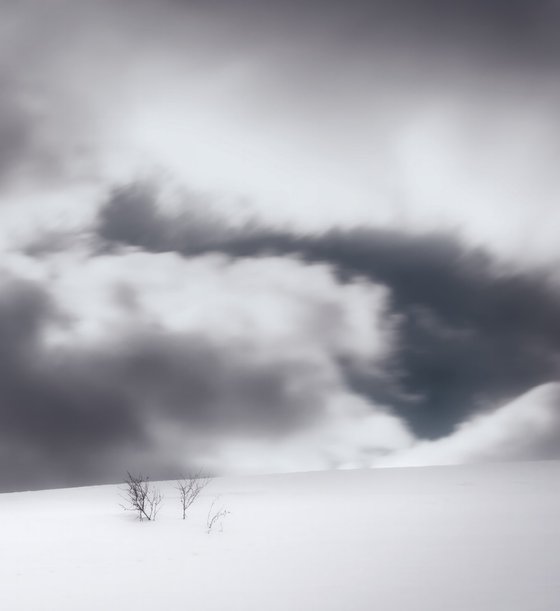 White Italian Scape #12