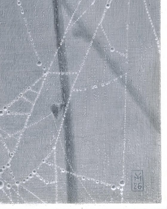 Spiderweb: Crystal Lace