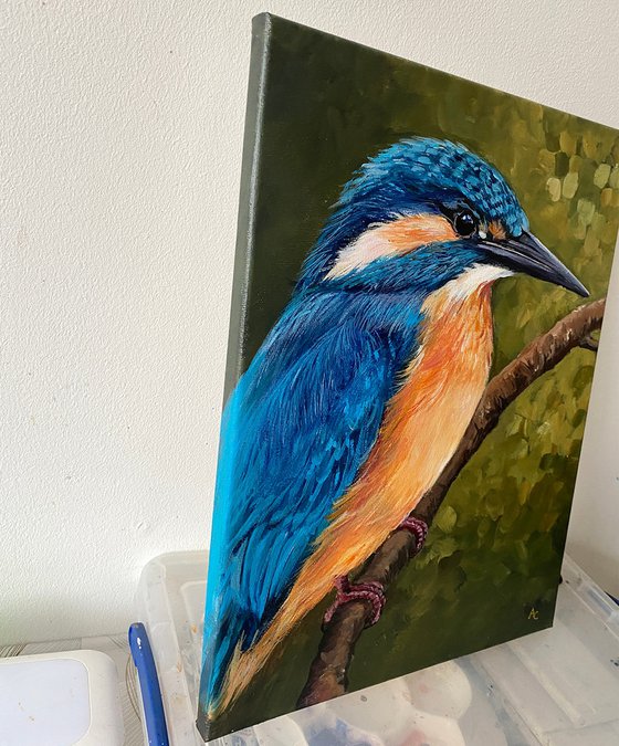 Kingfisher Kyle