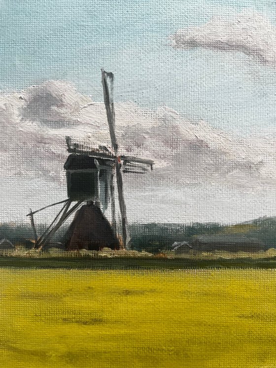 Dutch farmland