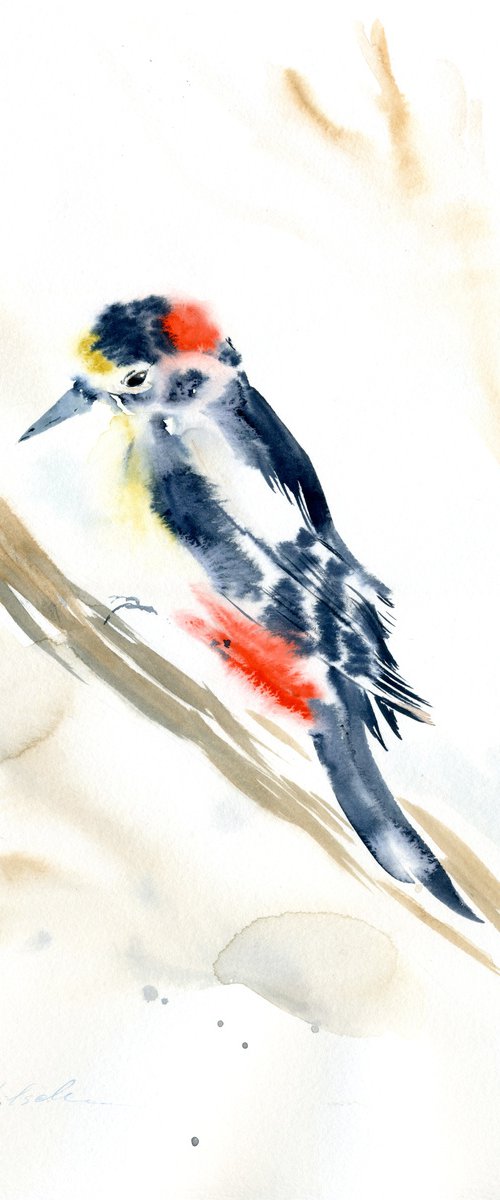 Woodpecker by Olga Koelsch