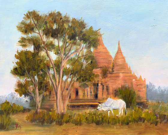 Morning in Bagan