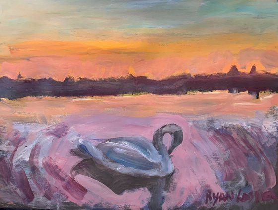 Swan at Sunset