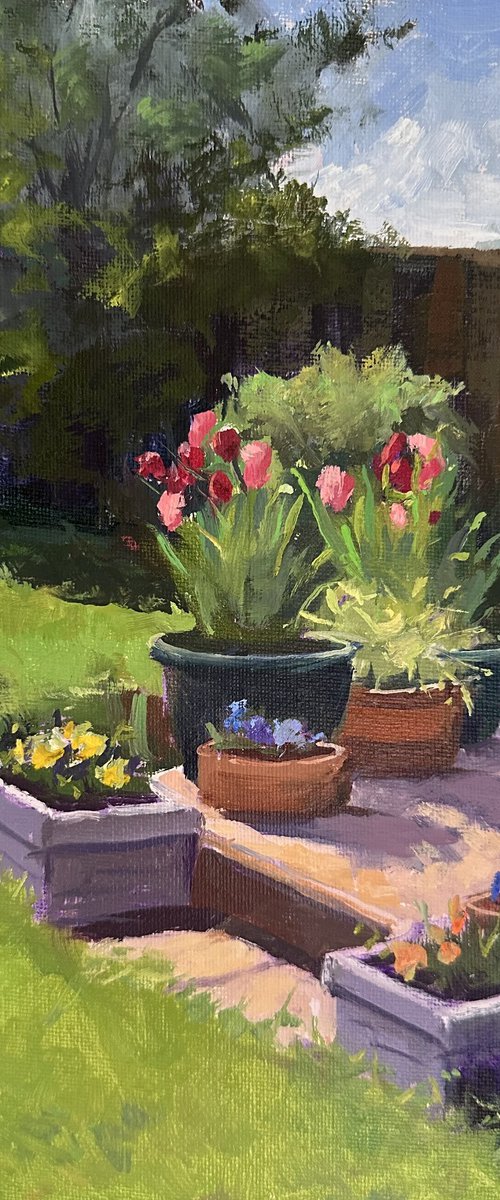 Spring sunshine with tulips by Toni Swiffen