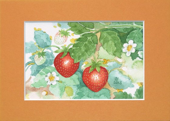 Strawberries * free shipping *