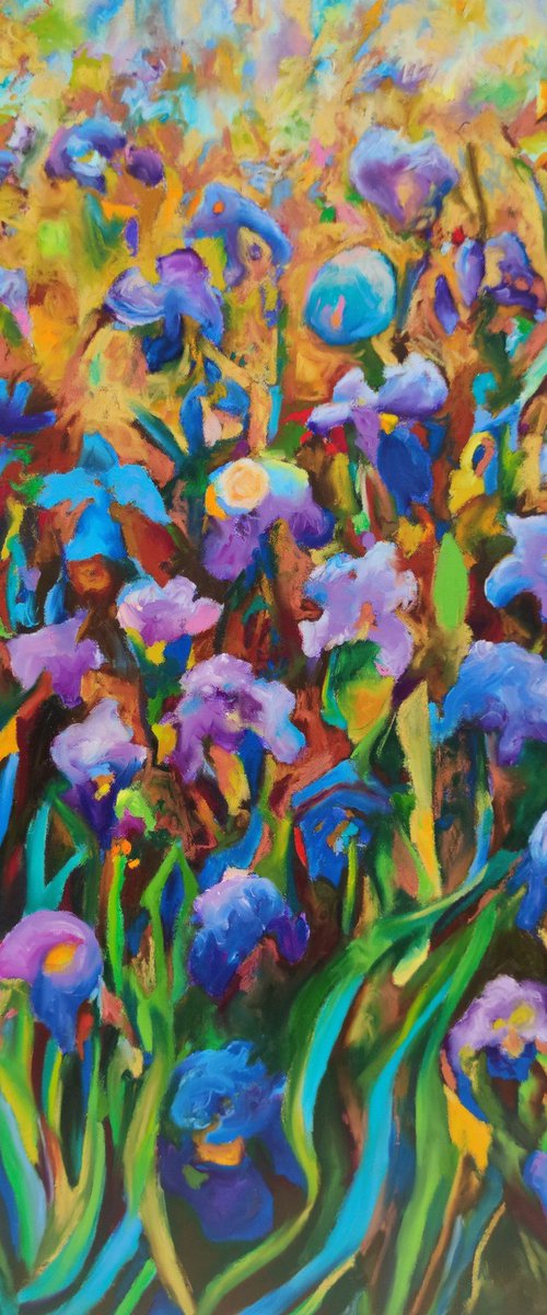 Blue Iris Fields by Angie Wright