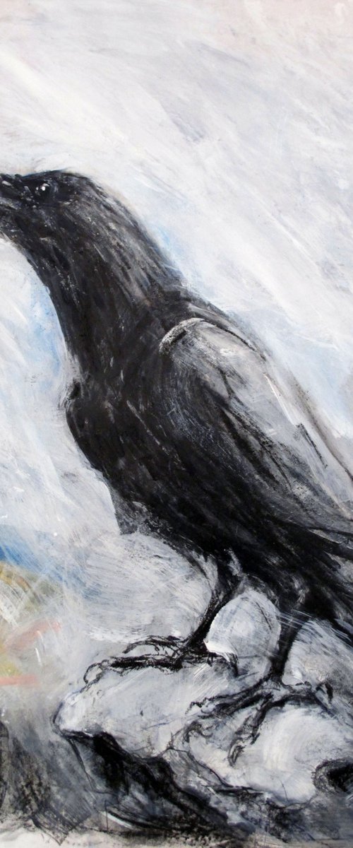 Raven, Dow Crag, Cumbria 1 by John Sharp