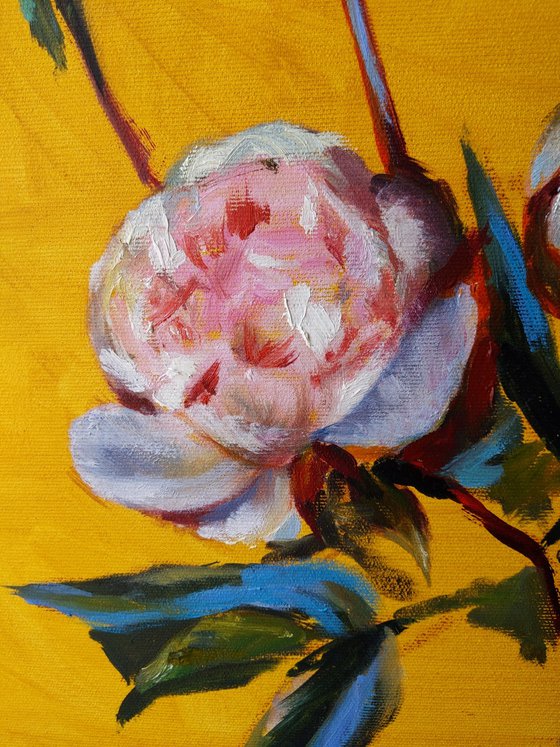 Peonies on the golden yellow