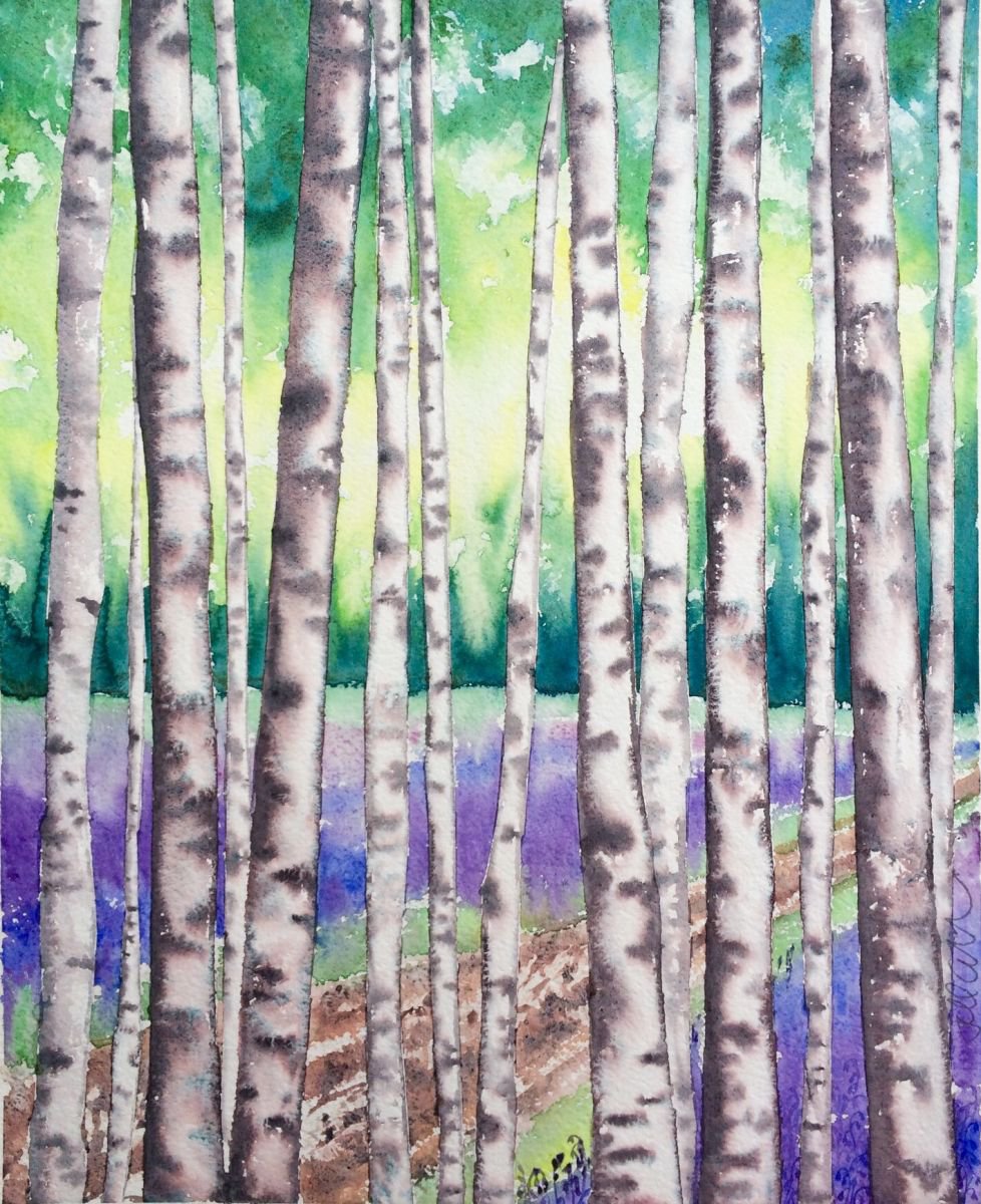Birchwood in May by Jill Griffin
