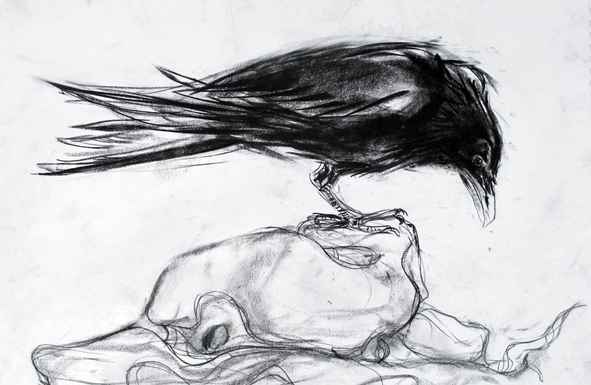 Expressive Animal Drawing By John Sharp, 23 X 16, Crow In Crummack Dale, Original Artwork
