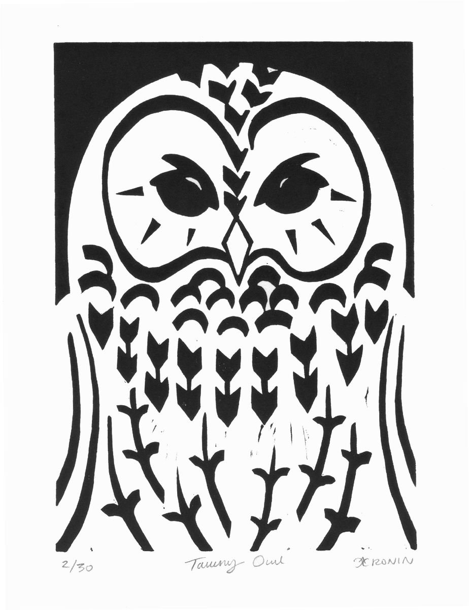 Tawny Owl b/w (edition of 30) by Catherine Cronin