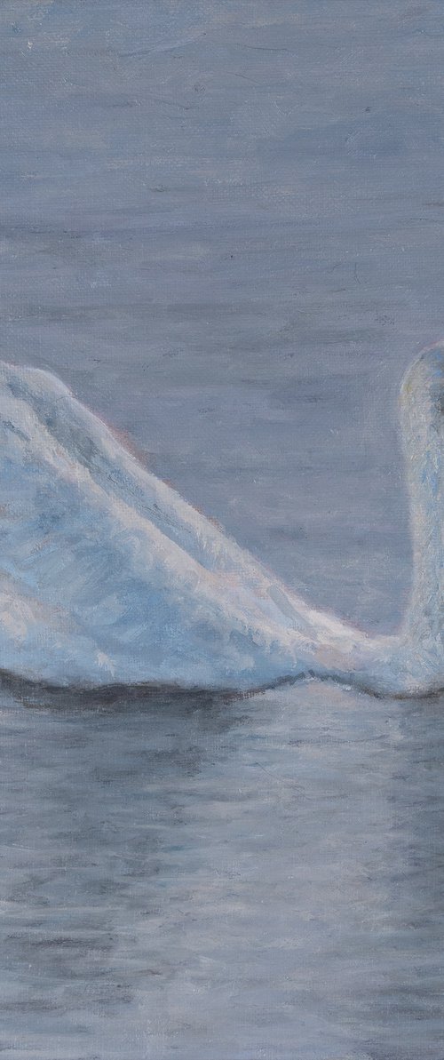Swan by Manfred Zak
