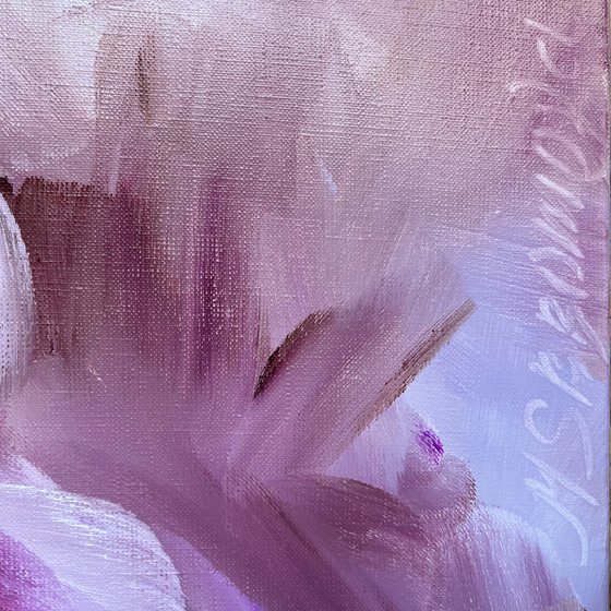 POWDERY TEMPTATION - Light pink. Abstract flowers. Blossoming tulips. Haze. Delight. Inspiration. Dreamer.