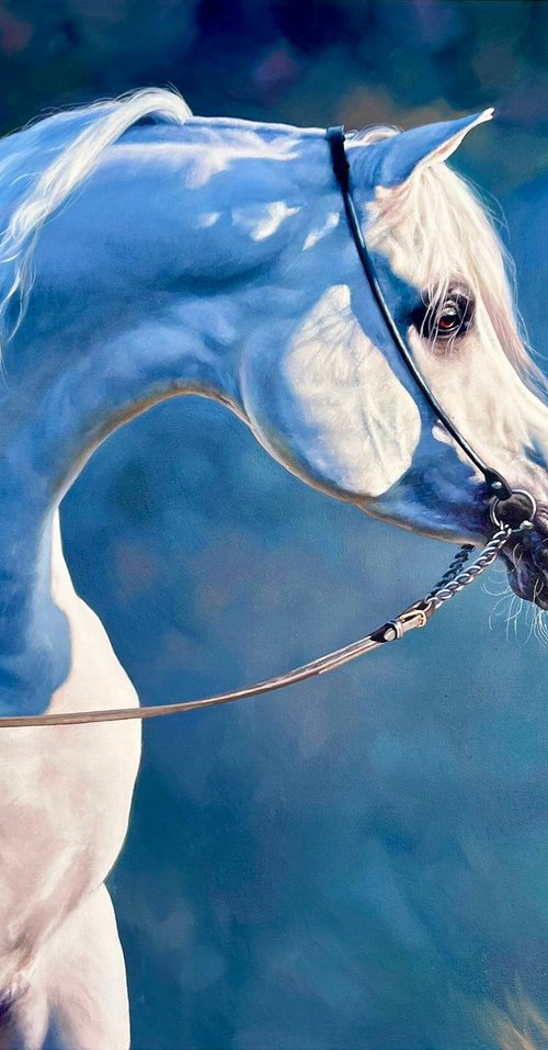 Arabian by Edel Alonso Bello