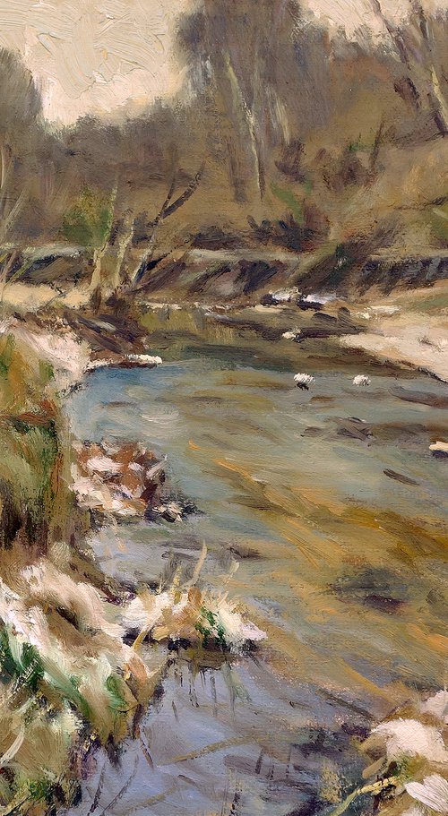 Winter Stream by Daniel Brian Fishback