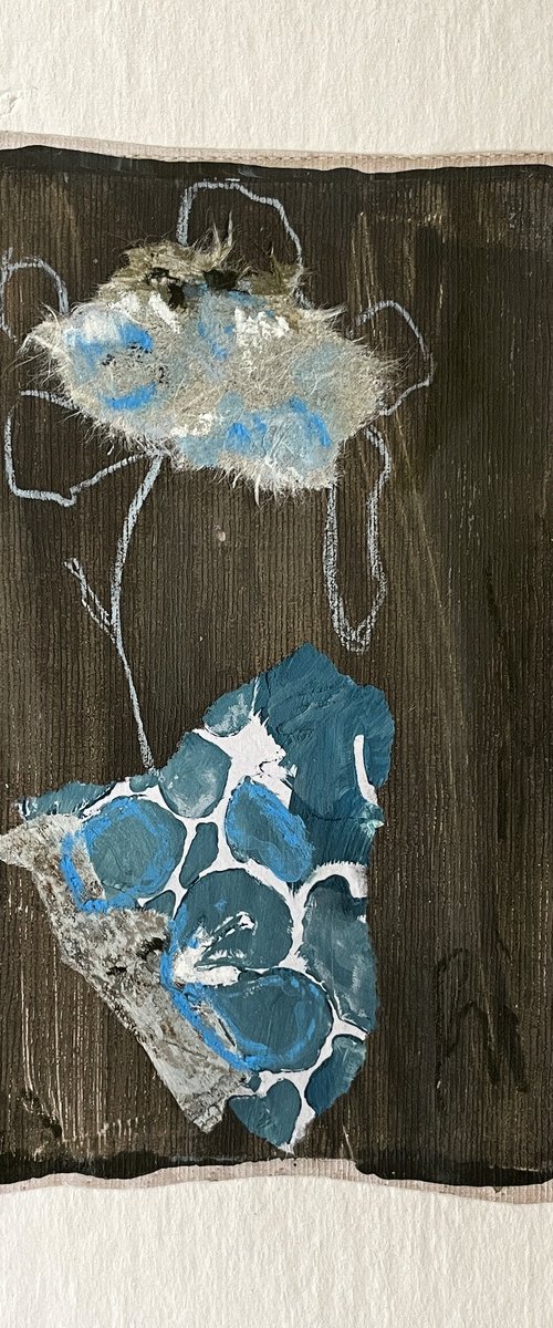 Blue Tortoise I by Nicole Esposito Woodall