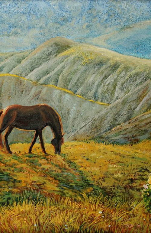 The hills by Elina Vetrova