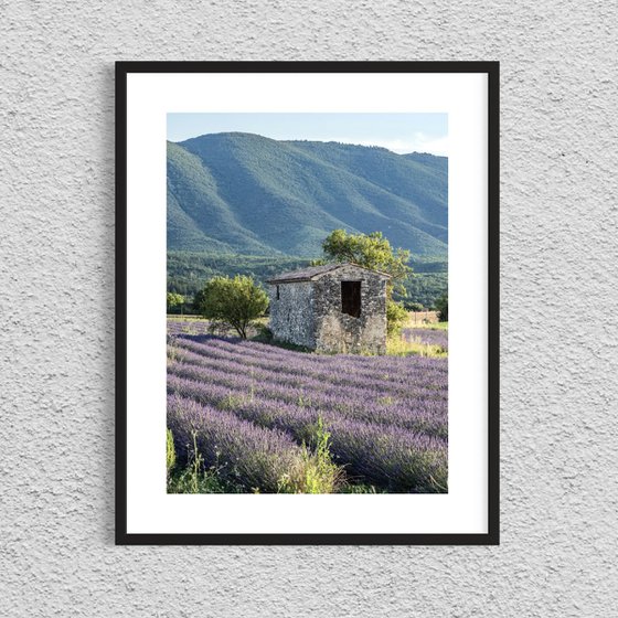 THE ABANDONED FARMHOUSE