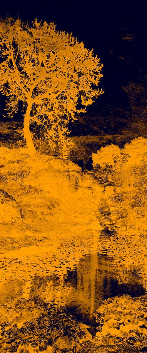 Echoes in Gold III by Viet Ha Tran