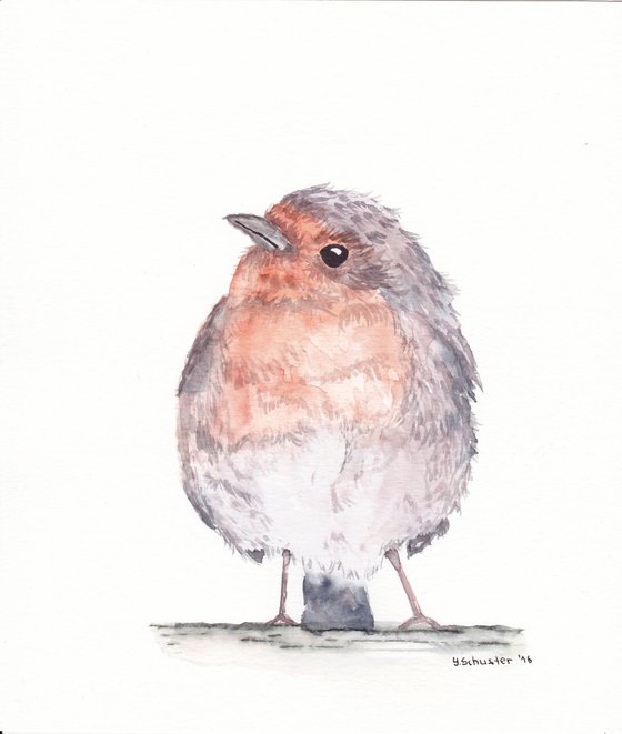 Watercolour birds portraits series. Robin Birds. Maximilian