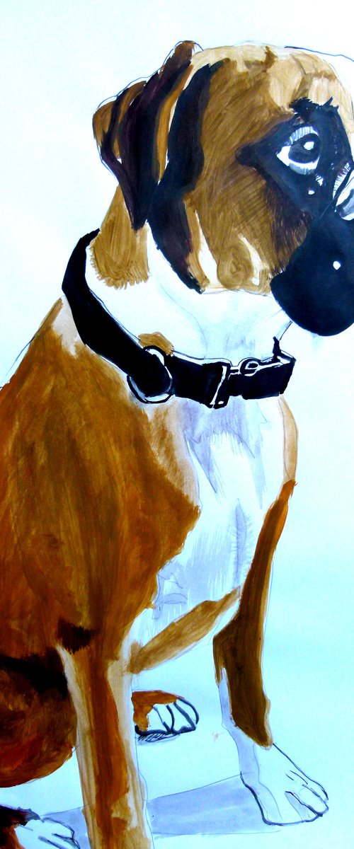 Boxer dog by Soso Kumsiashvili