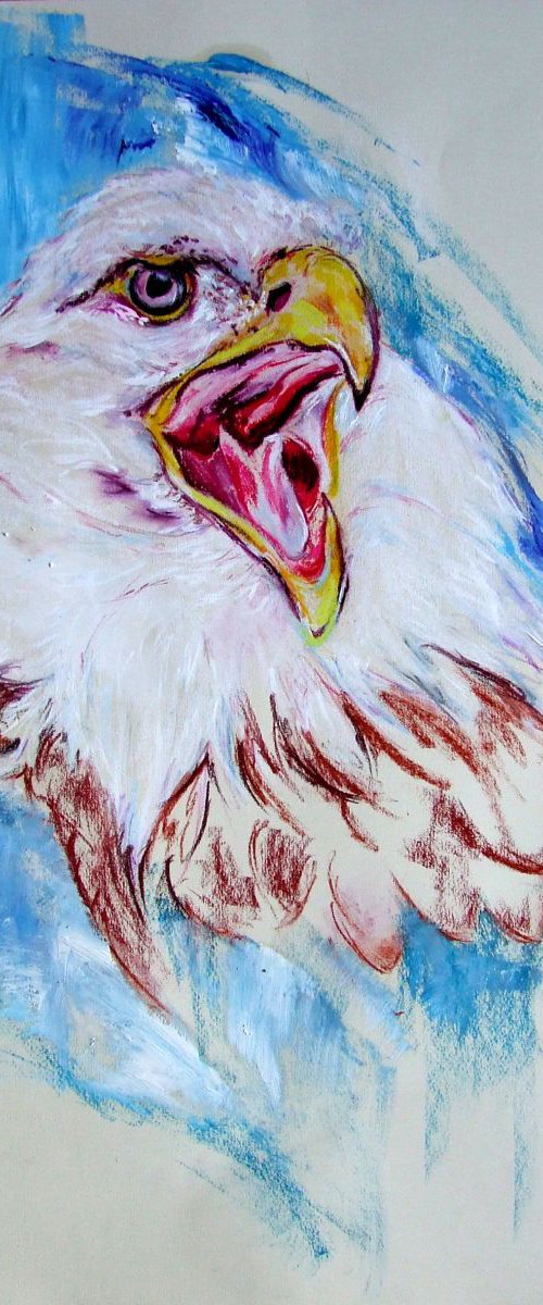 Eagle's Eye by Anna Sidi-Yacoub