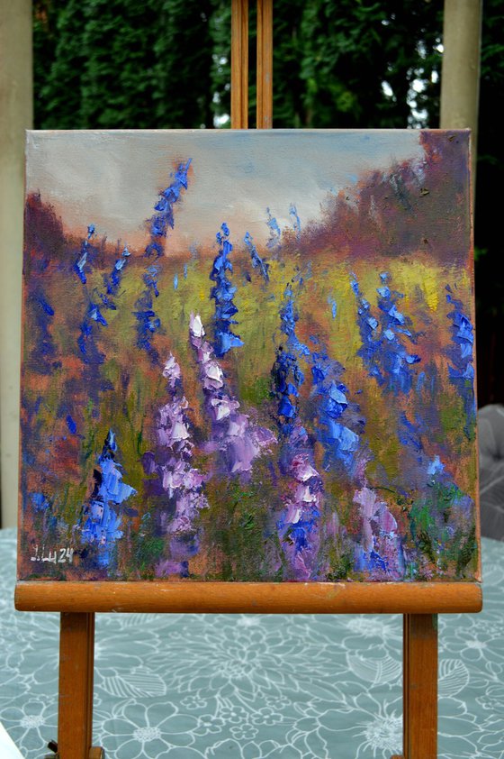 Field of lupines