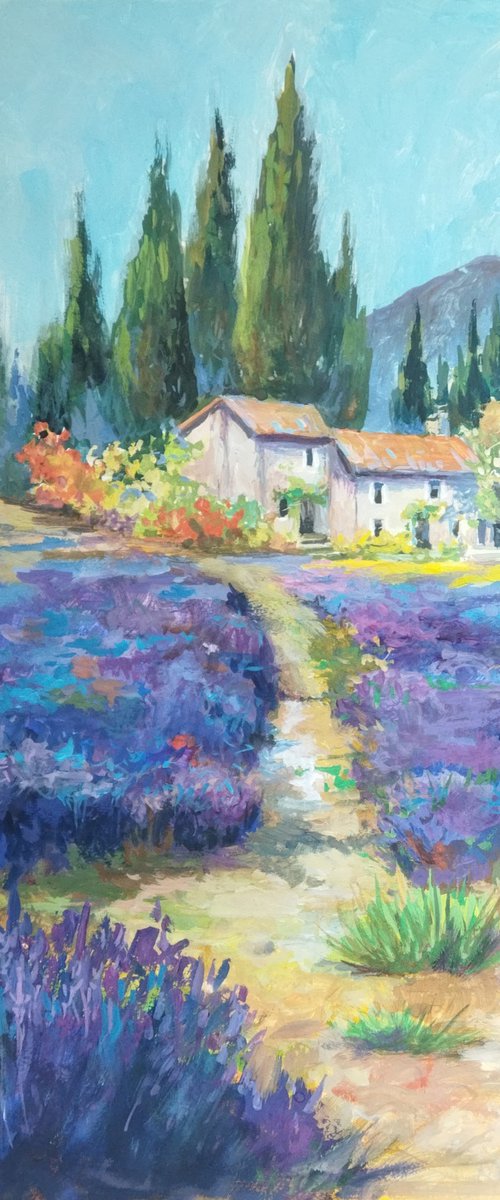 Lavender field by Ann Krasikova