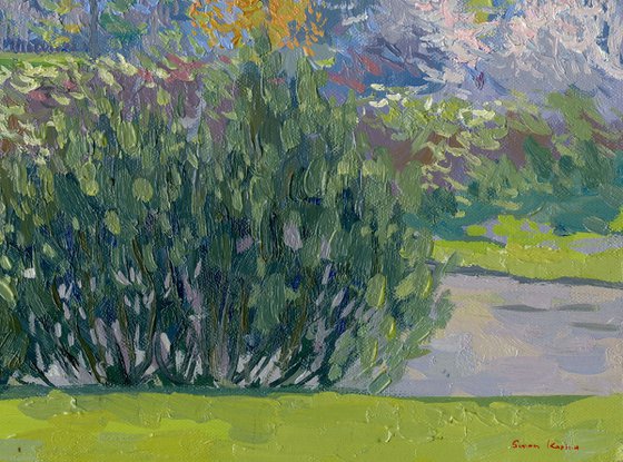 Blooming Garden