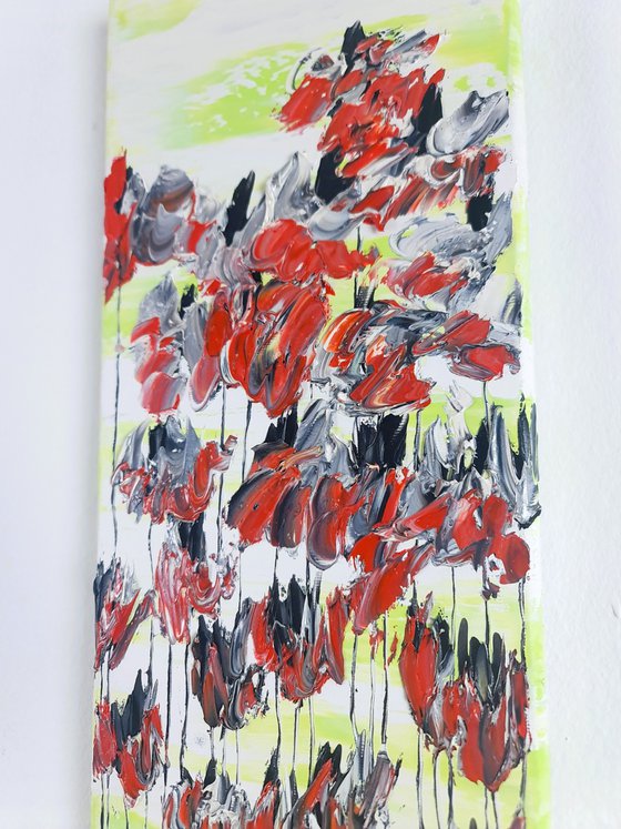 Poppy Flowers 1