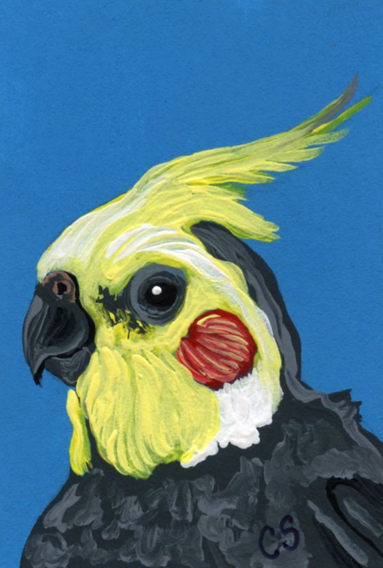 ACEO ATC Original Painting Cockatiel Parrot Bird Art-Carla Smale