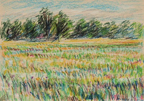 Meadows Landscape, 2017, oil pastel on paper, 21 x 29,7 cm