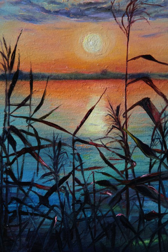 Sunset in the river reeds