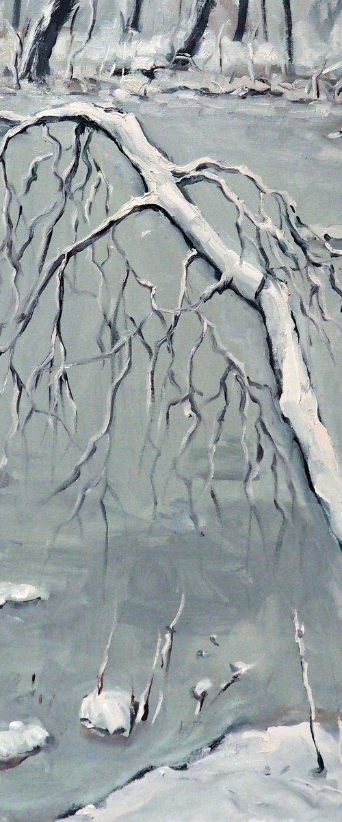 Winter landscape by Yuanyuan Liu