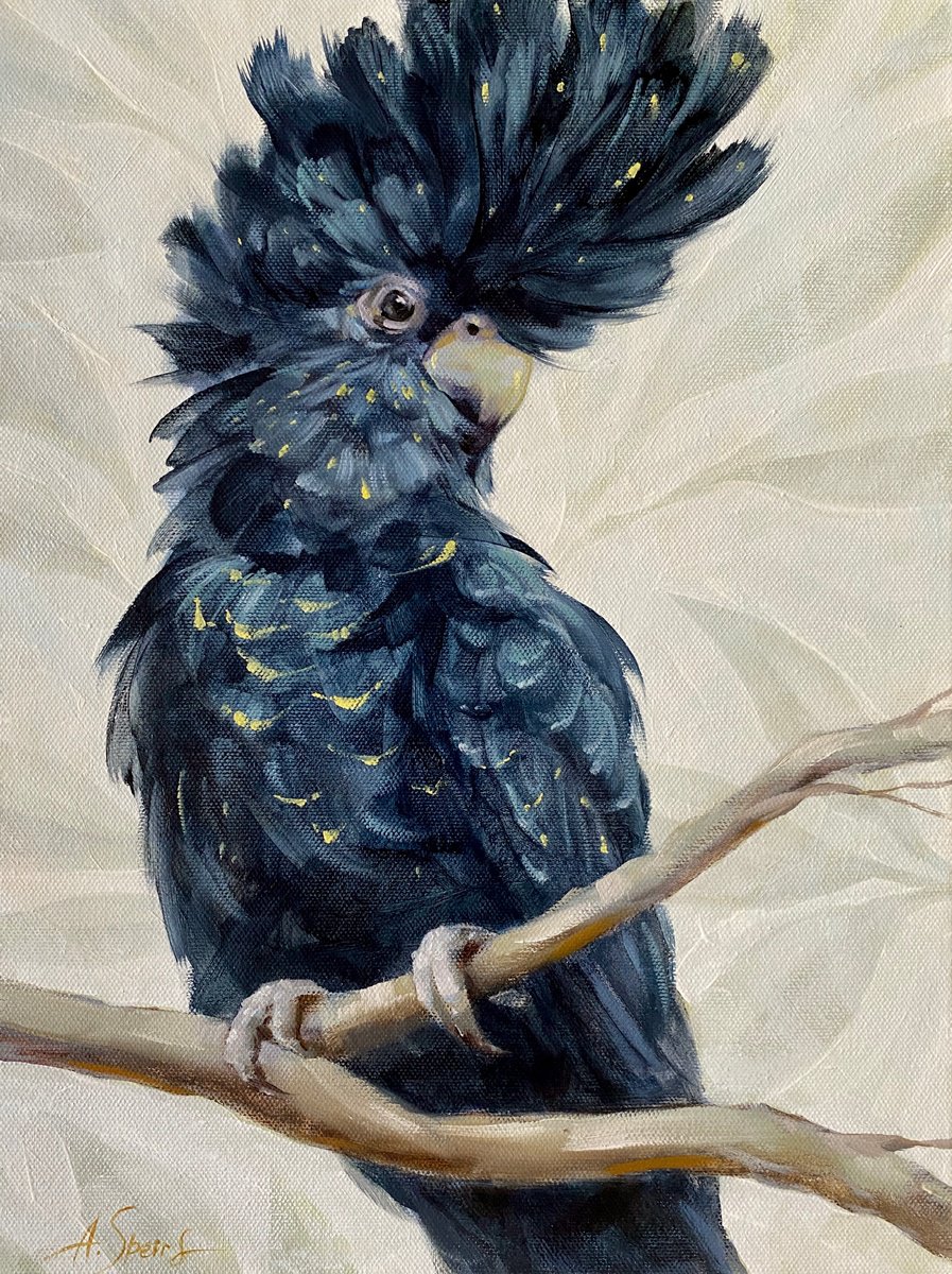 Black Cockatoo by Anna Speirs