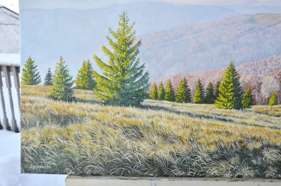 Where the Wind Greets the Sun