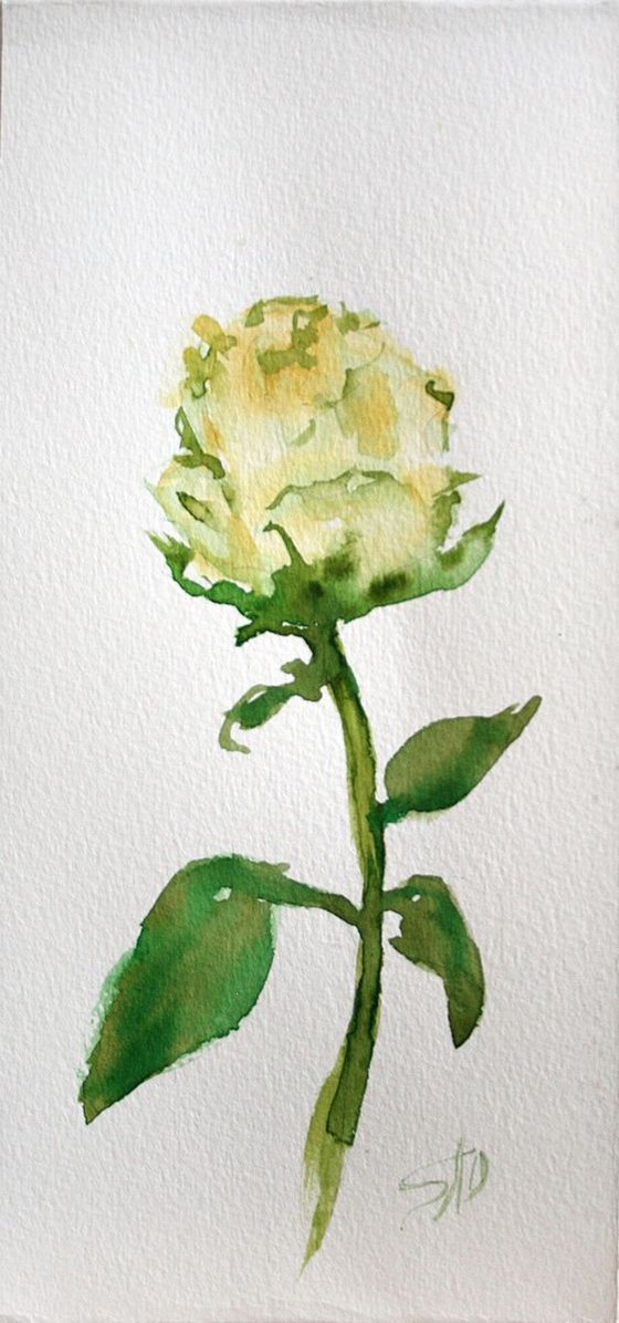 Rose 06  / Original Painting / emotion in the portrait of a flower / color harmony of watercolor / a gift for you