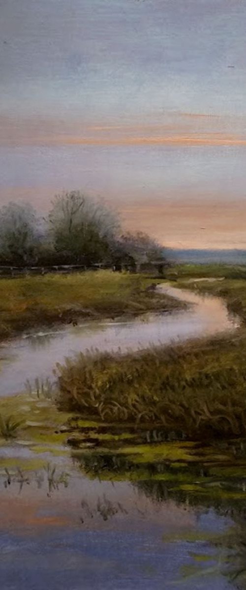 Meadows10 by Vishalandra Dakur