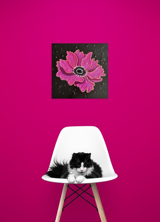 Anemone