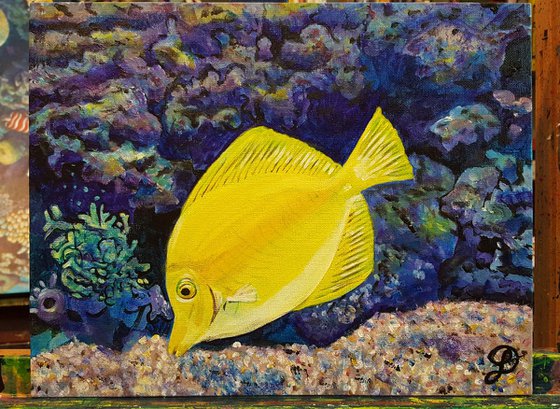 Untitled - 251 Yellow Tang Fish